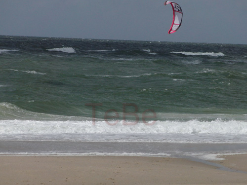 02_Skop_Sylt_062009
