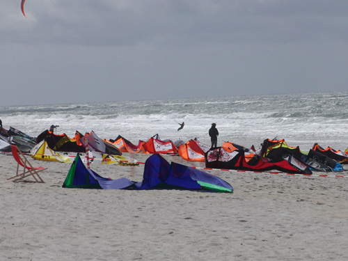 03_Skop_Sylt_062009