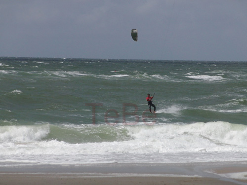13_Skop_Sylt_062009