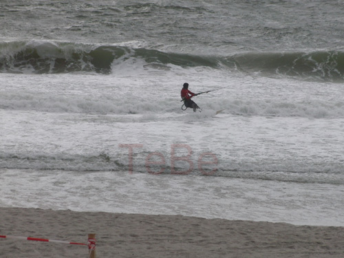 37_Skop_Sylt_062009