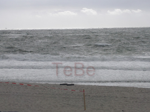 39_Skop_Sylt_062009