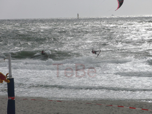 43_Skop_Sylt_062009