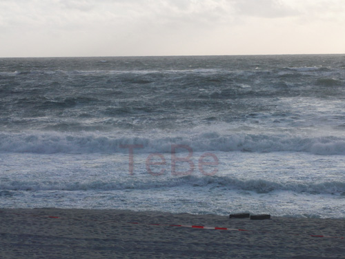 62_Skop_Sylt_062009