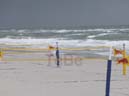 38_Skop_Sylt_062009