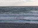 62_Skop_Sylt_062009