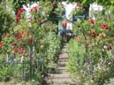 12_Blankenese_062009
